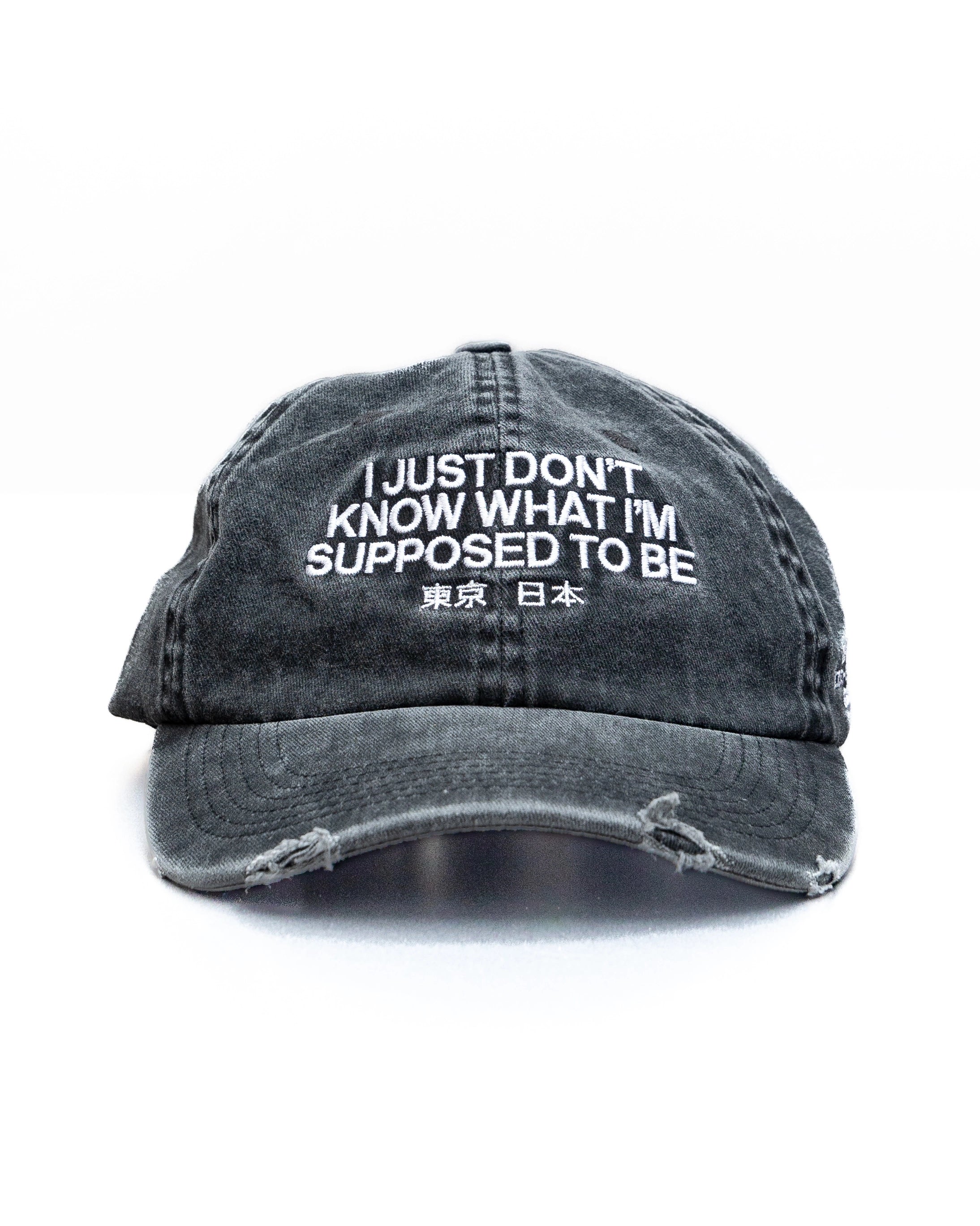 Lost in Translation Cap